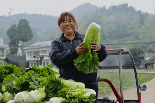 看到這些笑臉,我也樂了