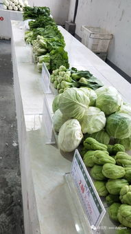 我縣第一家本地農產品超市開門迎客啦