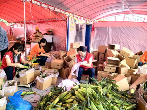 農產品搭郵車 進城 永嘉郵政今年已助農銷售農產品100萬元