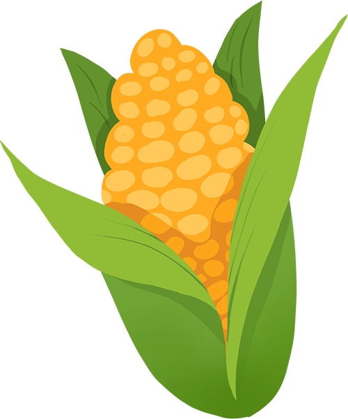 農業生產者銷售自產農產品如何申報