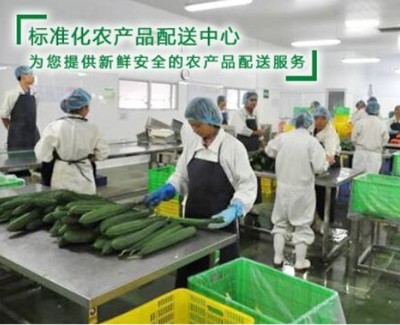 中堂蔬菜配送服務公司