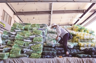 2000公里外的蘭州高原夏菜如何保鮮入甬?