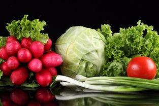 東莞橫瀝農產品配送公司哪家好