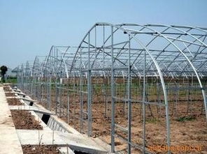 安陽大棚鋼管廠產品價格低供應商 天津百富城鋼管廠