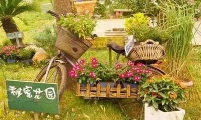 有機農場經營12年,如何持續保持盈利?