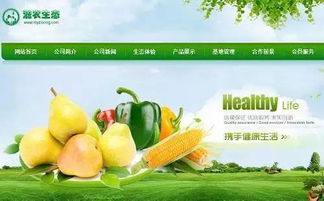 借助移動互聯網 湖北創業團隊滋農春天助力農產品銷售