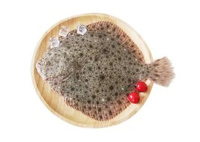 西安灞橋工廠食堂食材配送供應鏈公司