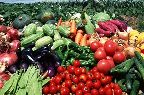 生產端與銷售端連接 互通和融合助力新型農產品供應鏈體系