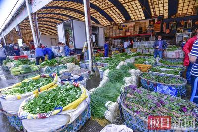 運輸目錄外蔬菜來漢免收通行費,《鮮活農產品品種目錄》適用范圍