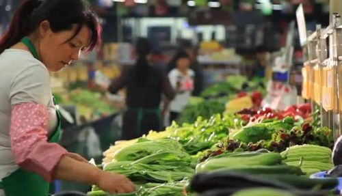 寶應 蔬菜專業村聯手農產品物流園,菜農銷售半徑數倍增