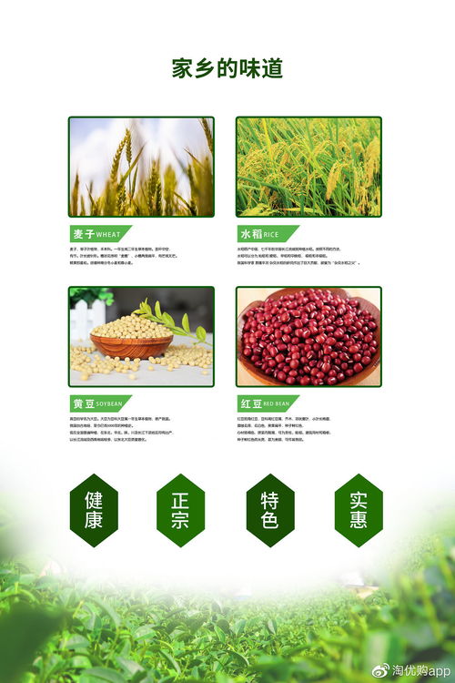 全國首家區域特色農產品電商商城 淘優商城正式上線運營啦