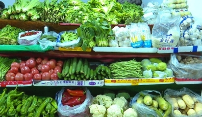 人勤春早氣象新 節后市場迎來“開門紅”