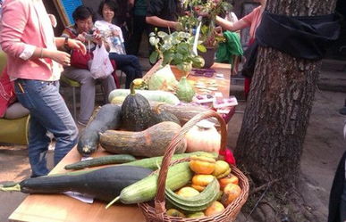 五大最熱門最掙錢的農業投資項目 圖