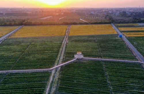 嘉興這16家園區 基地 ,國家級