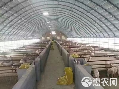 大棚管 鋼管大棚 種植大棚,蔬菜大棚 瓜果大棚,質量保障,誠信經營