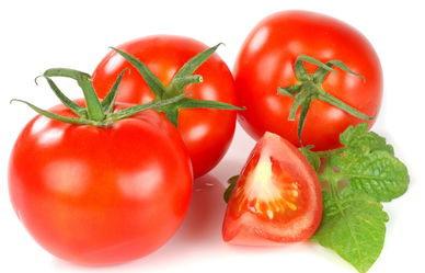 惠州淡水工廠蔬菜配送那一家比較好