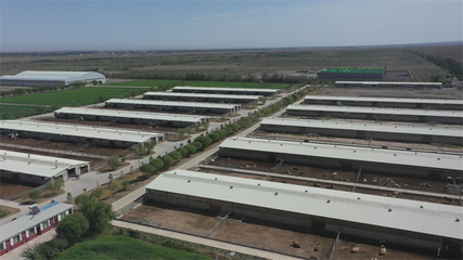 積極構建綠色農業循環發展模式，推動蔬菜產業可持續發展