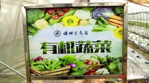 線上平臺助力攸縣健坤農業 從體驗式采摘到農產品送貨上門的創新之路