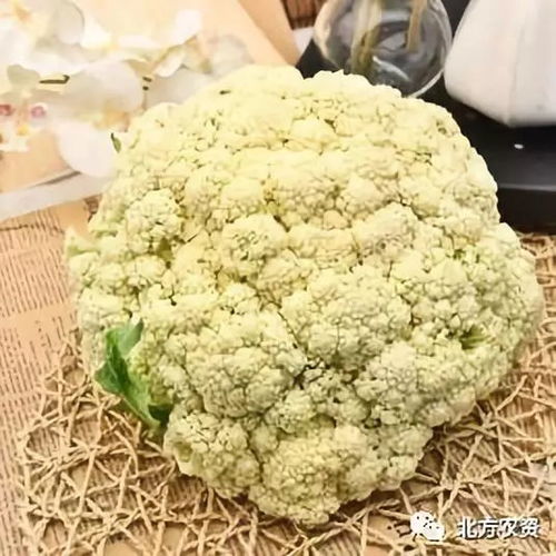 有機食品認證亂象 名不副實背后的市場隱患