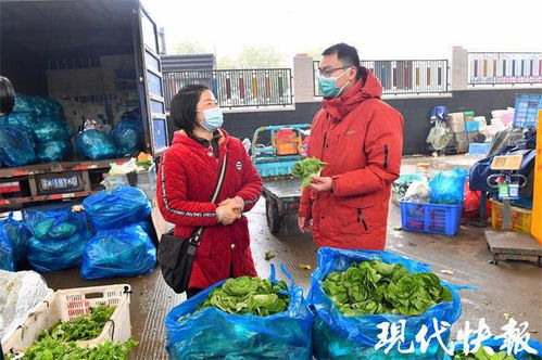 南京蔬菜儲(chǔ)備充足，春節(jié)菜籃子供應(yīng)穩(wěn)定無憂