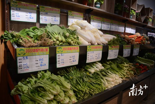 春節(jié)前電白15種蔬菜平價(jià)銷售 價(jià)格下降30%以上惠及居民