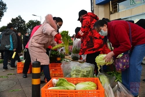 雅安 每日2.5萬公斤蔬菜保供穩價，平價蔬菜上線獲市民點贊