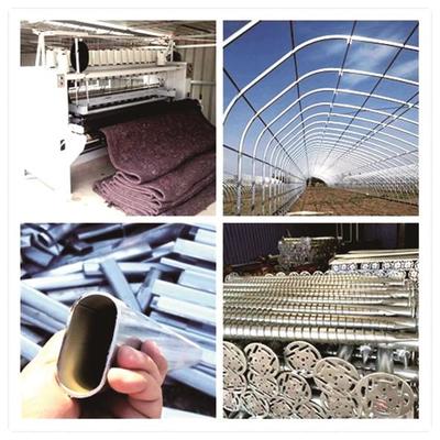 為消費者提供優質產品和服務 蔬菜經營的核心理念與實踐