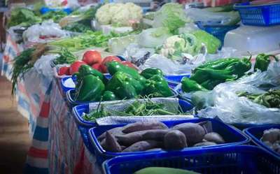 生鮮賽道潰敗大潮中，本來生活如何靠蔬菜經營求得生存？