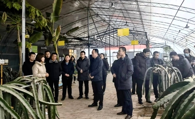 思想“破冰”發展“突圍” 長武洪家鎮解放思想大討論系列活動引領蔬菜產業轉型升級