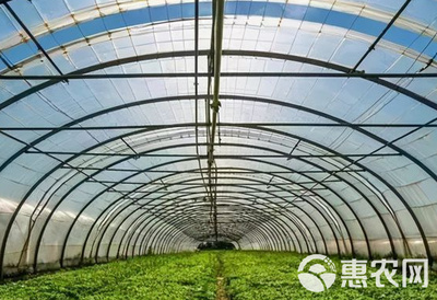 專營大棚管材、骨架與材料 助力現(xiàn)代種植與養(yǎng)殖大棚發(fā)展