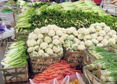 從菜攤到蔬菜帝國 一位菜販的創業傳奇